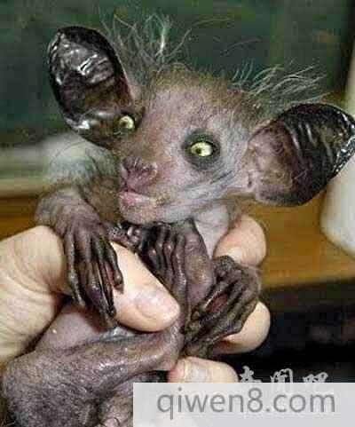 世界上真有水鬼吗,是传说还是确有其事!-奇闻趣事-7号生活网