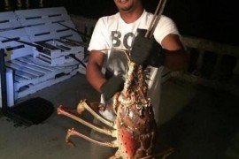 百慕大渔民捕获“龙虾精”，他最后的做法令人觉得敬佩！