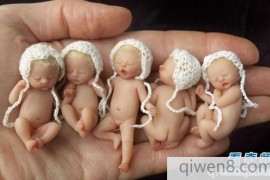 奇妙的世界：五个手掌上的小“婴儿”