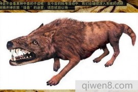 大型食肉吃人动物驴头狼，头部像驴身子像狼的怪兽