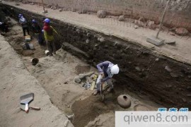 考古学家发现了古墓中至少装12个孩子的尸体，被移除心脏