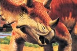 晚白垩纪著名的三角龙，体型庞大却只吃草不吃肉