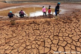  全球粮食危机愈演愈烈 干旱是最主要原因(水资源短缺)