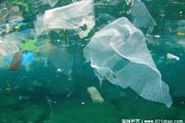 大量塑料袋潜入万米深海 威胁海洋生物安全(让人气愤)