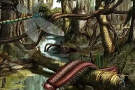  石炭纪为什么叫巨虫时代 很多动物都被称为巨型（节肢动物巨大）