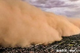蒙古国正在消失  72%的领土遭受沙漠化危机  为何不效仿中国 