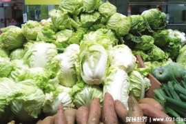 今冬蔬菜为何跌出白菜价 今冬蔬菜为什么会出现白菜价