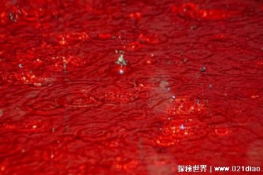 世界上有没有红色的雨：红雨之谜（阿拉伯红土 外...