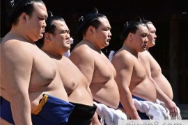 日本相扑选手擦屁屁的工作，年入上百万，看完真羡慕