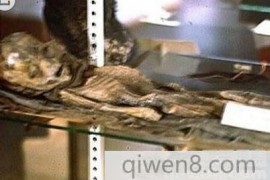 罗斯维尔UFO事件：发现外星人完整尸体