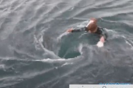 男子海边钓鱼发现UFO形状漩涡, 细看后屏住呼吸发现奇异一幕