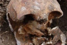 后院挖出的头骨竟然是百年前的女主人？