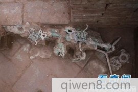 考古科学家：摇钱树是真的存在？在2千年前东汉古墓发现了！