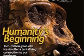人类始祖是一种前所未见人类生物
