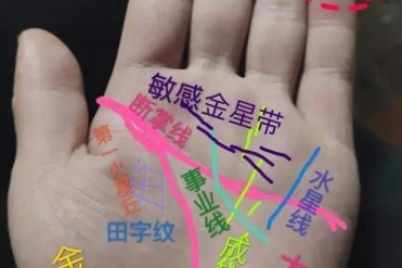 手相实例解读:鬼手掌相,集各种经典掌纹于一手...