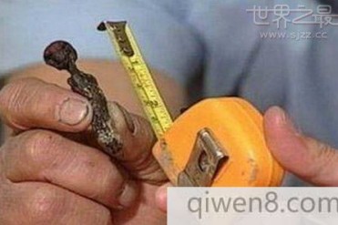 世界上最小的木乃伊