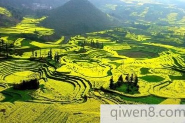世界最大自然天成花园