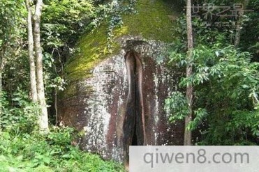 世界上最大的阴