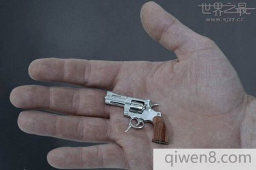 世界上最短的枪