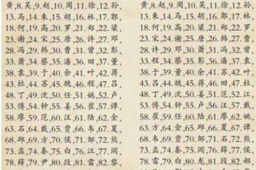2013世界第一大姓