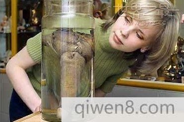 最大的生殖器 世界上最大的生殖器