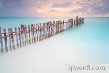 世界上最大的陆间海