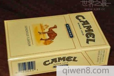 全球十大名烟