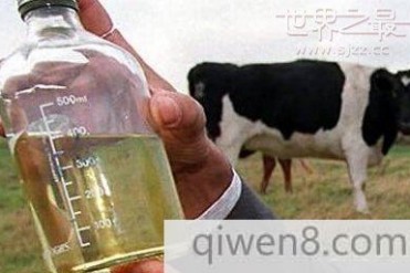 全球十大难喝饮料