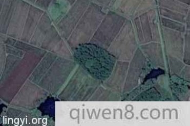 不知道大家有没有听说过引路神