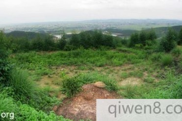 本人故事很长,都是真实经历,关注我看完我的故...