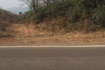 (真实)嵊州打铁岭道人招魂抓鬼实录