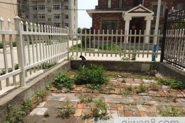 亲身经历之☞鬼上身(续)