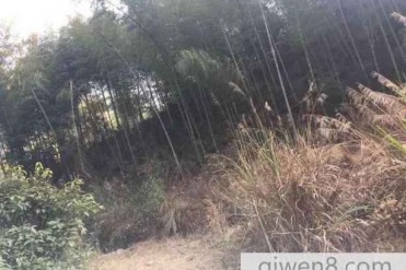 (真实)那一条绳子