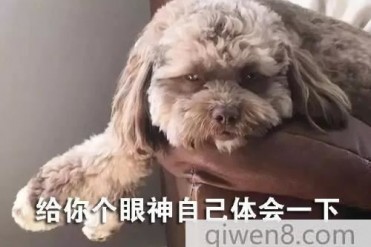 日本都市传说【一】