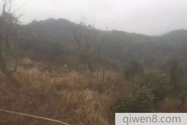 (真实)嵊州橘子山凶宅