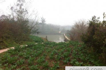 老辈们讲的离奇故事