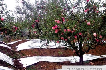 真实经历的一次“冤魂压棺”,压的八大金刚竟丝毫...