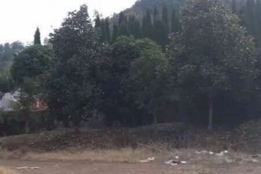 ️【探灵记】之轿