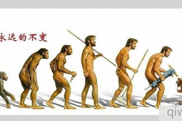 世界上十大高智商的动物