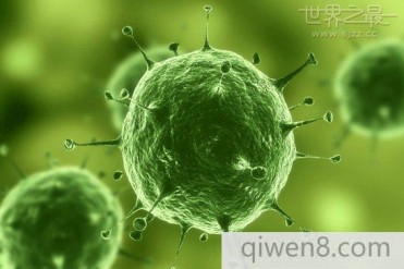 世界上最小的生物