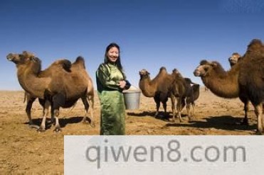 世界最耐旱的动物