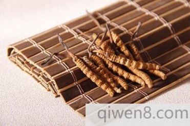 中国名贵药材冬虫夏草