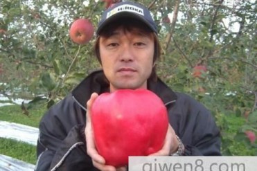 世界上最重的苹果 世界上最重的苹果有多重