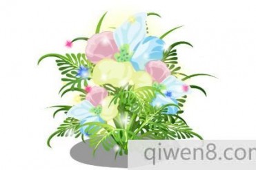 世界最娇艳绚丽的花-依米花