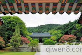 韩国显忠祠内“日本松树”被移除 48年前由前总统朴正熙种植