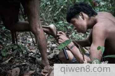 未解之谜:神奇的部落女人用母乳喂养动物 40岁就...