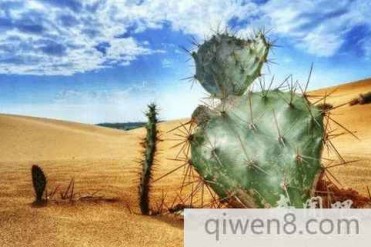 各国的奇葩习俗:不穿内裤是违法的!