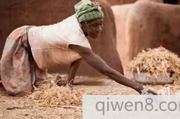 异俗!非洲部落的女巫集中营 女性生死由一只鸡决定