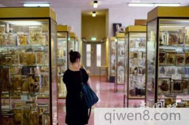 畸形博物馆:专门收藏人体、胎儿标本,还有肿瘤...