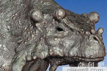 史上最丑陋的动物:巨颊龙 物种已灭绝